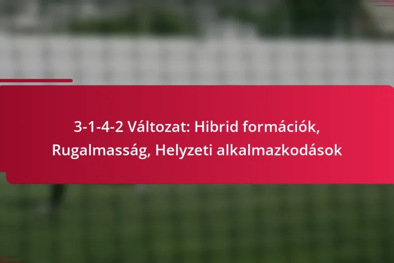 3-1-4-2 Változat: Hibrid formációk, Rugalmasság, Helyzeti alkalmazkodások