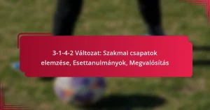Read more about the article 3-1-4-2 Változat: Szakmai csapatok elemzése, Esettanulmányok, Megvalósítás
