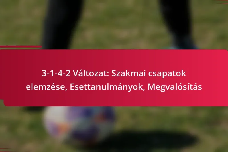 3-1-4-2 Változat: Szakmai csapatok elemzése, Esettanulmányok, Megvalósítás