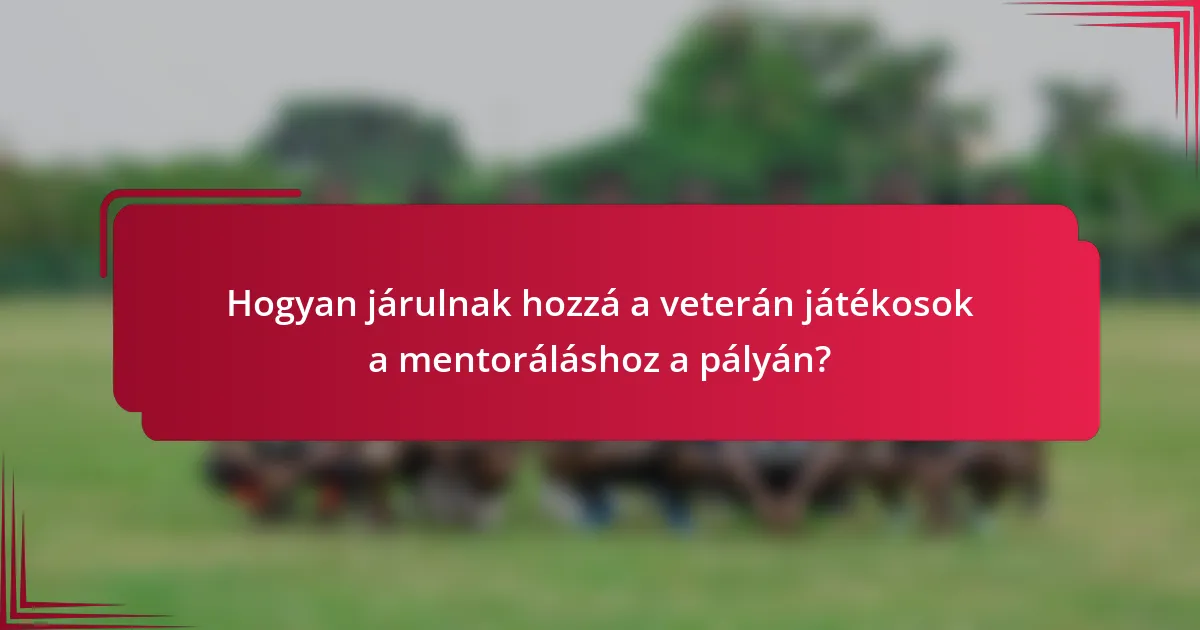Hogyan járulnak hozzá a veterán játékosok a mentoráláshoz a pályán?