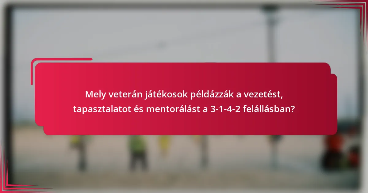Mely veterán játékosok példázzák a vezetést, tapasztalatot és mentorálást a 3-1-4-2 felállásban?